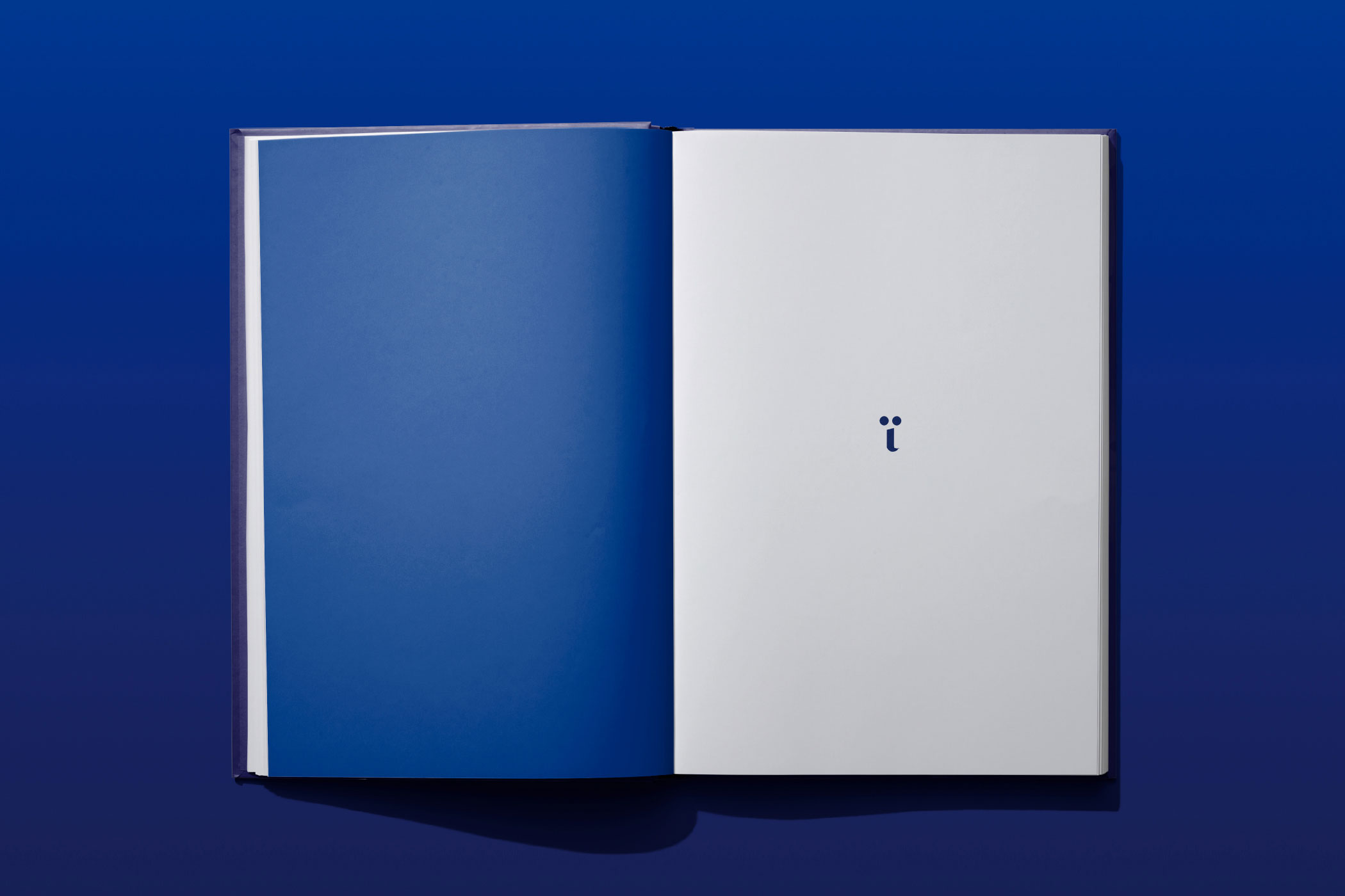Page 1 of the mium brand book